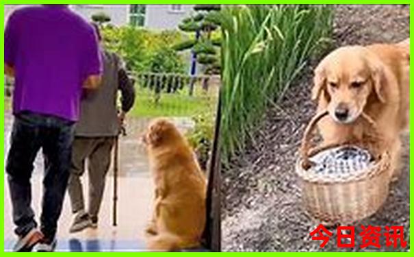 包头必去景点推荐